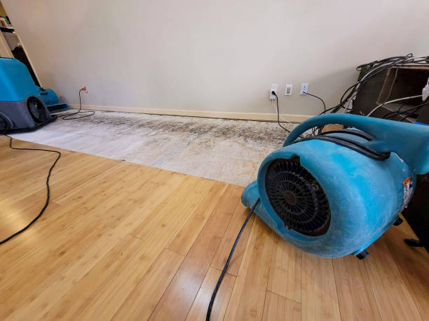 Professional Ceiling Water Damage Repair technician working in Swink, CO